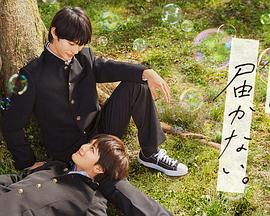 玉名美良地址海报剧照