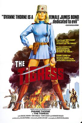 律政国语海报剧照