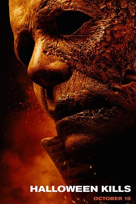 冰岛米湖拍海报剧照